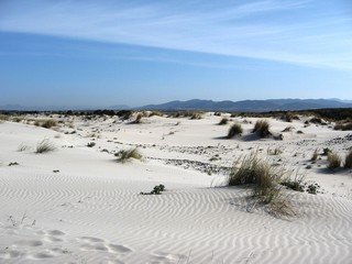 Sardegna