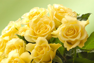 yellow roses