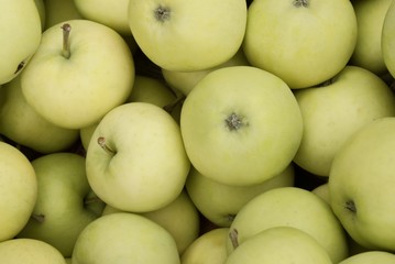 pearmain early apples