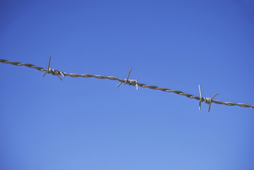 barbwire over the sky