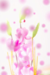 ひな祭りイメージ