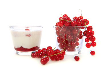 Verrine et groseilles