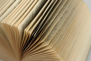 book.
