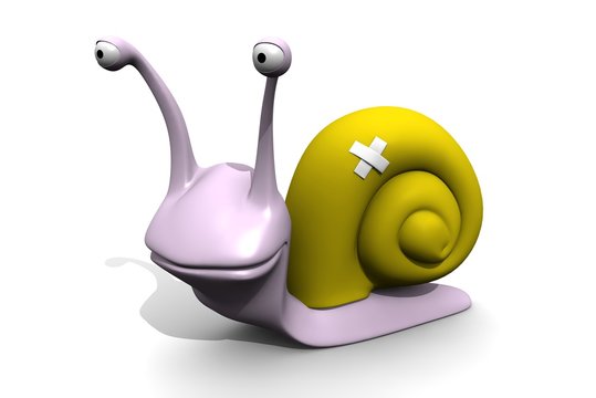 caracol