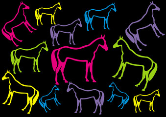 colour horse