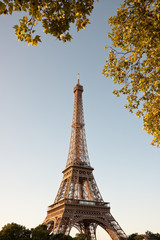 Fototapeta na wymiar Eiffel tower in the morning with leaves.