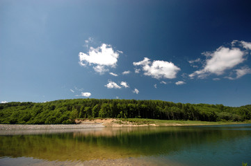 Lake and forest