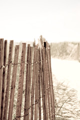 Beach Fence