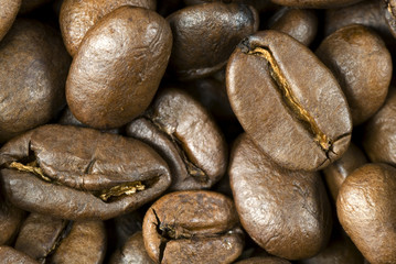 Fresh roasted coffee beans