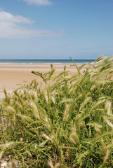 Omaha beach in Normandie France on bright sunny day