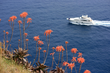 Red mediterian Flowers and white Yacht