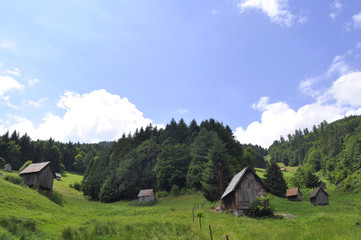 Impressionen aus dem Schwarzwald - 15912698