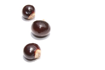 Black seed of longan fruit