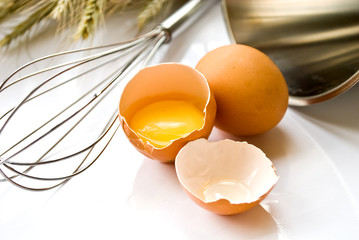 egg