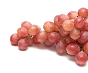 Grapevine isolated on white background