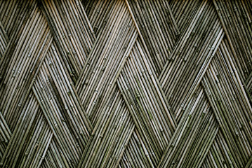 Bamboo backgroung