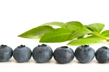 Blaubeeren und Blaubeerblätter