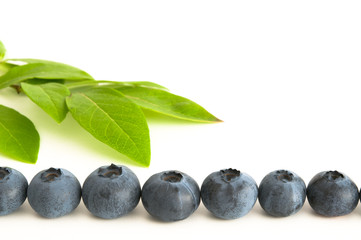 Blaubeeren und Blaubeerblätter