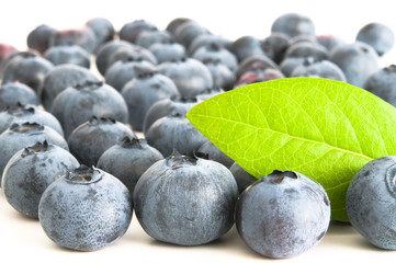 Blaubeeren mit Blaubeerblatt
