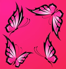 Beautiful tropical butterfly