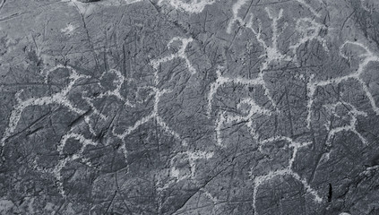 The ancient drawings on rocks Altai - 15919636