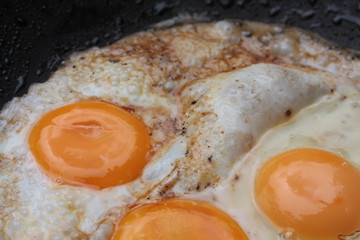 fried eggs