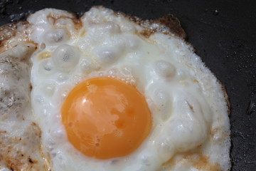 fried egg