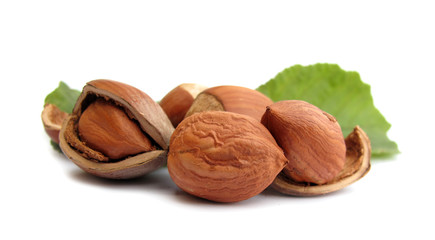 Broken hazelnuts perfect with leaves