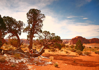 High Dynamic Image of Monument Valley