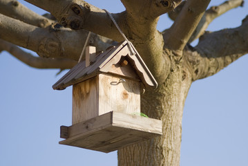 Birdfeeder in a tree.