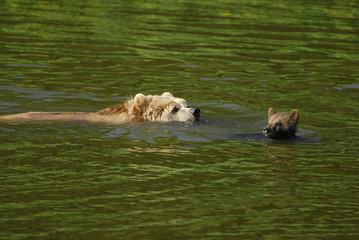 Schwimmunterricht