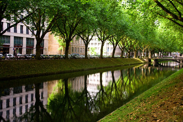 Obraz premium Summer trees