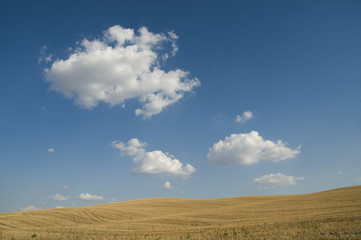 Fototapeta na wymiar Campi e nuvole