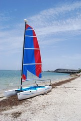 Small Catamaran With a Blue and Red Sail