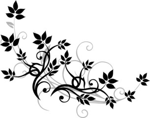 Blätter, Blatt, Laub, filigrane Ranke