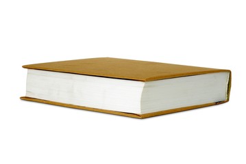 Fat book in paper cover.