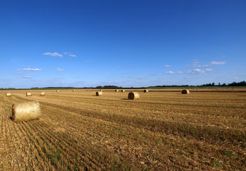 Obraz premium Stoppelfeld