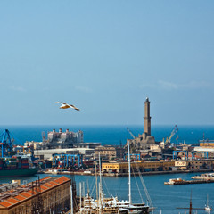 Lanterna di Genova
