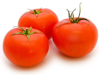 tomatoes
