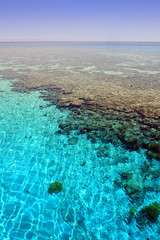 Seascape with coral reef 