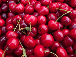 Sweet red cherries