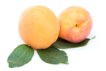 Two Apricots with leaves isolated on white background