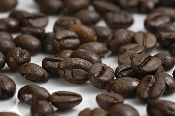 coffee beans_002