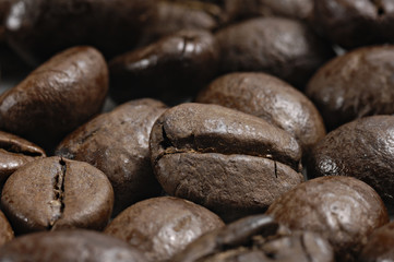 coffee beans_004