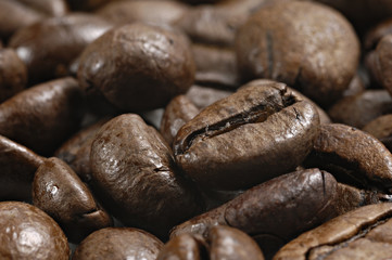 coffee beans_005