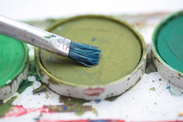 Green watercolors in a box