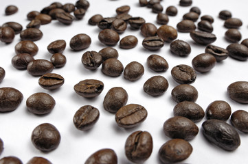 coffee beans_010