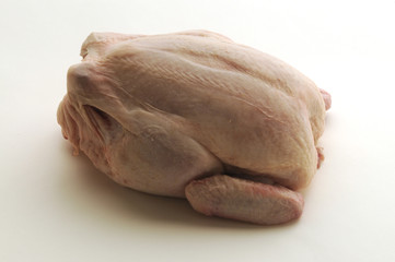 Pollo crudo