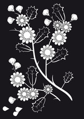 White flowers on a black background