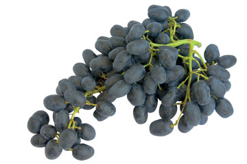 black grape